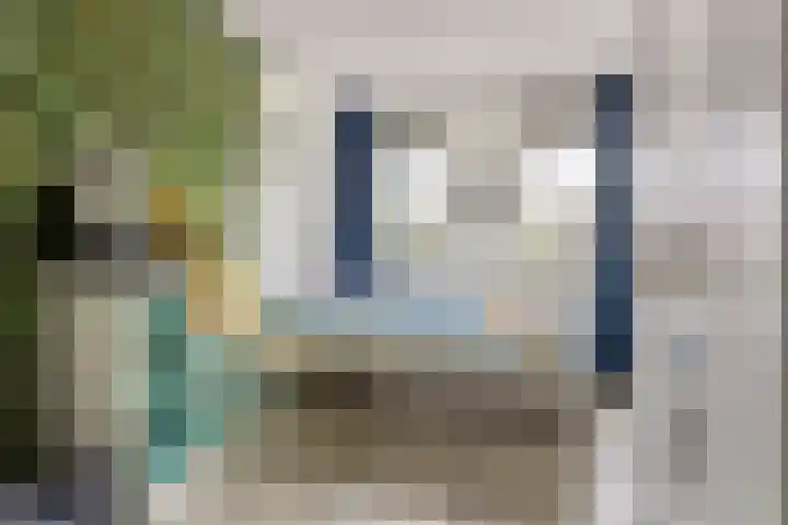 Zilvermeeuw 102 Etten-Leur thumbnail 16