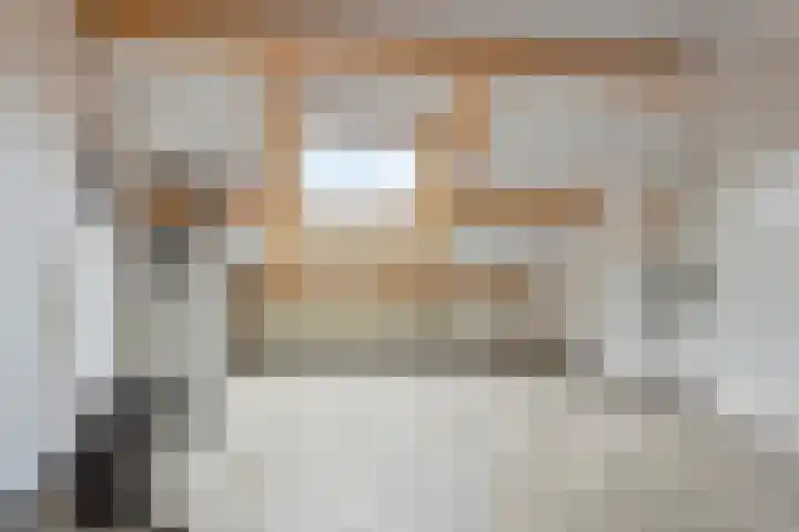 Zilvermeeuw 102 Etten-Leur thumbnail 25
