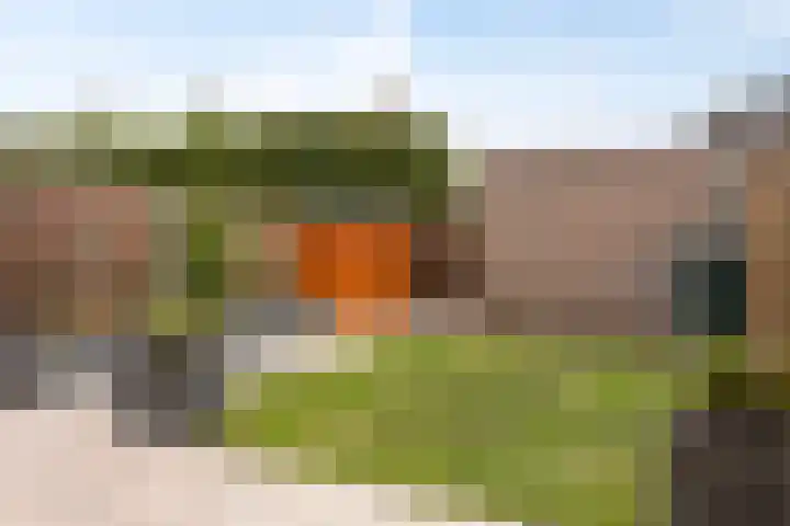 Zilvermeeuw 102 Etten-Leur thumbnail 27