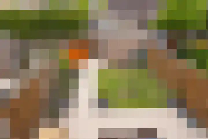 Zilvermeeuw 102 Etten-Leur thumbnail 30