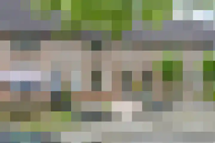 Zilvermeeuw 102 Etten-Leur thumbnail 31