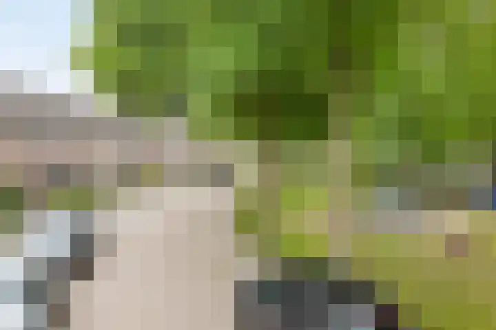Zilvermeeuw 102 Etten-Leur thumbnail 32