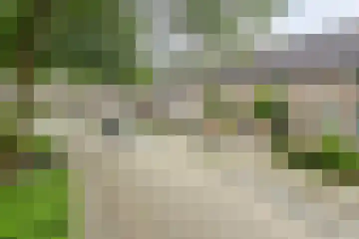 Zilvermeeuw 102 Etten-Leur thumbnail 33