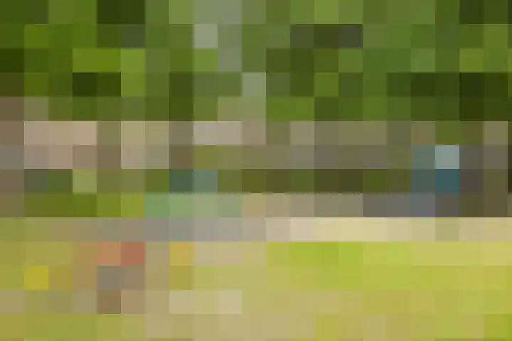 Zilvermeeuw 102 Etten-Leur thumbnail 35