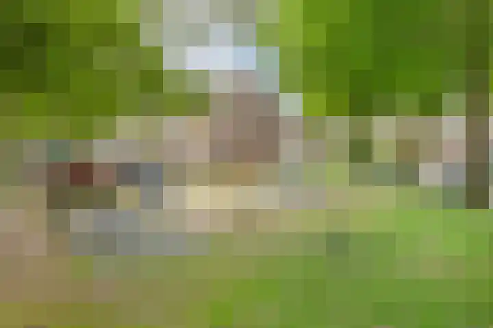 Zilvermeeuw 102 Etten-Leur thumbnail 36