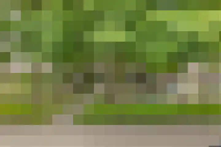 Zilvermeeuw 102 Etten-Leur thumbnail 37