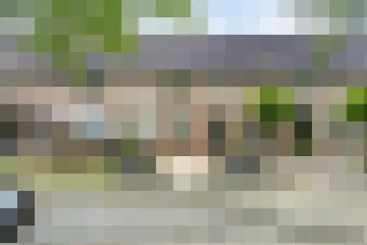 Zilvermeeuw 102 Etten-Leur thumbnail 43