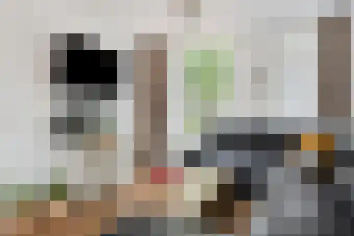 Zilvermeeuw 102 Etten-Leur thumbnail 8