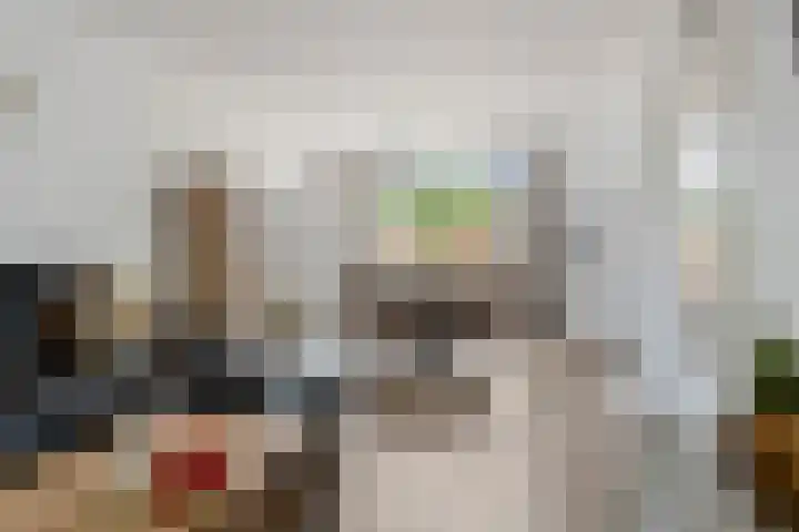 Zilvermeeuw 102 Etten-Leur thumbnail 9