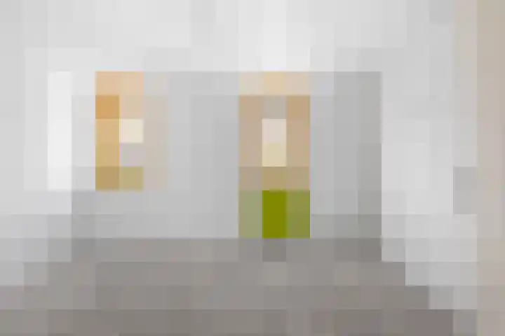 Zilvermeeuw 116 Etten-Leur thumbnail 16