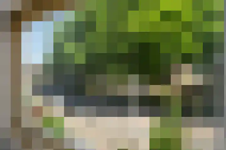 Zilvermeeuw 116 Etten-Leur thumbnail 23