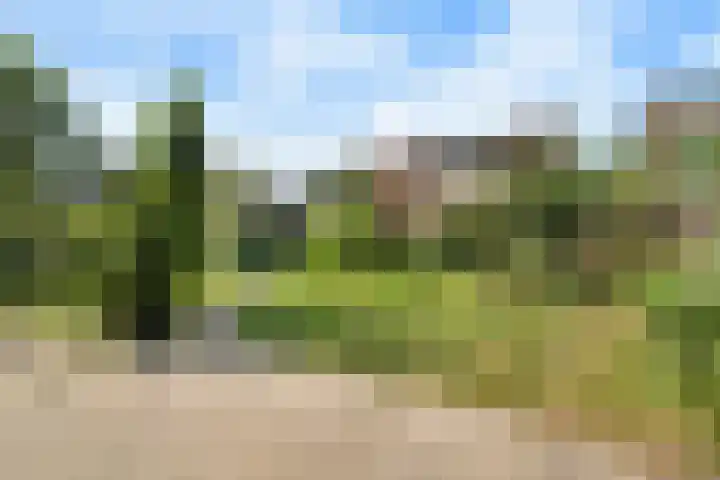 Zilvermeeuw 116 Etten-Leur thumbnail 31