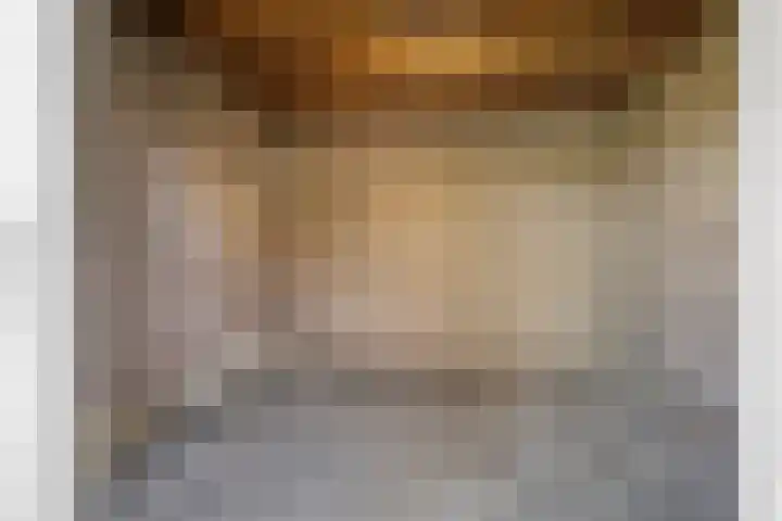 Zilvermeeuw 116 Etten-Leur thumbnail 32