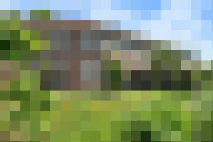 Zilvermeeuw 116 Etten-Leur thumbnail 34