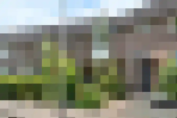 Zilvermeeuw 116 Etten-Leur thumbnail 35