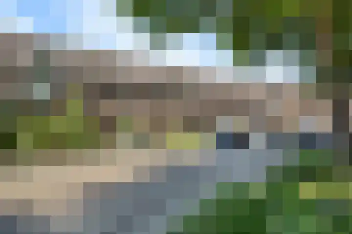 Zilvermeeuw 116 Etten-Leur thumbnail 36