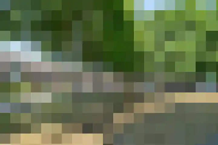 Zilvermeeuw 116 Etten-Leur thumbnail 37