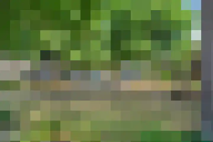 Zilvermeeuw 116 Etten-Leur thumbnail 38
