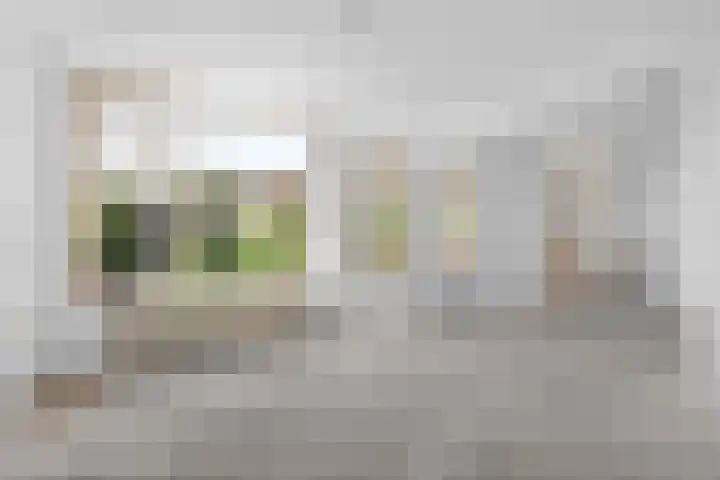 Zilvermeeuw 116 Etten-Leur thumbnail 4