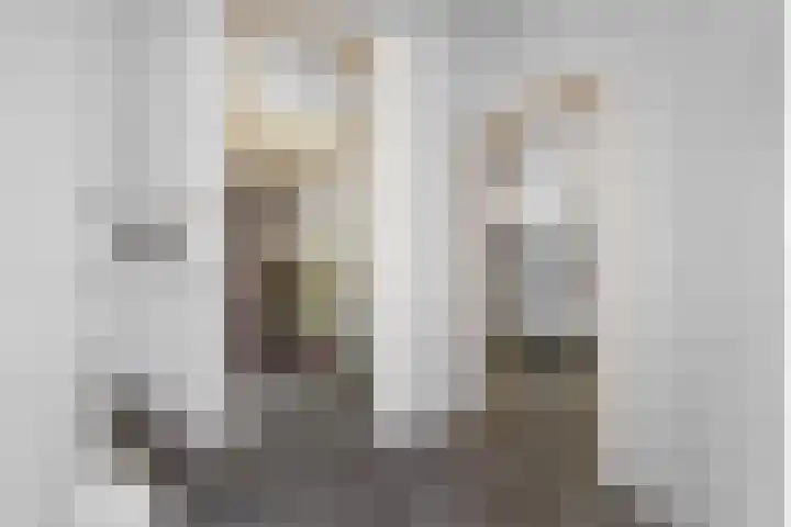 Zilvermeeuw 116 Etten-Leur thumbnail 7