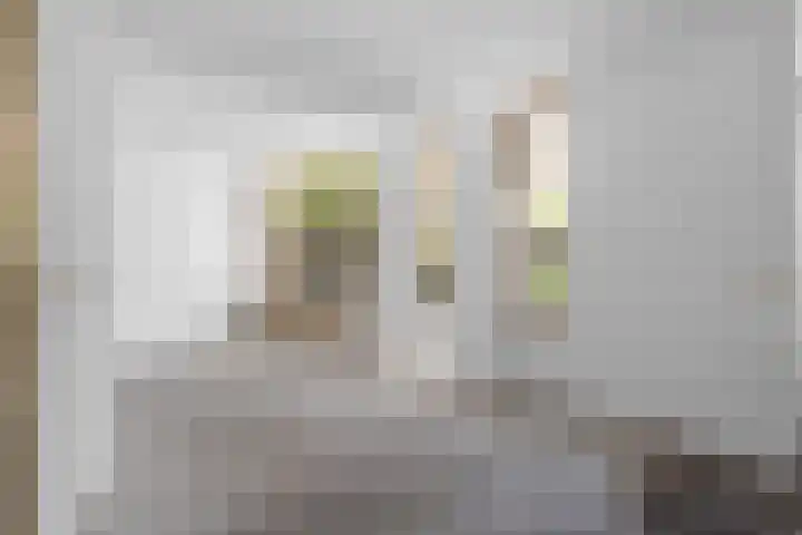 Zilvermeeuw 116 Etten-Leur thumbnail 9