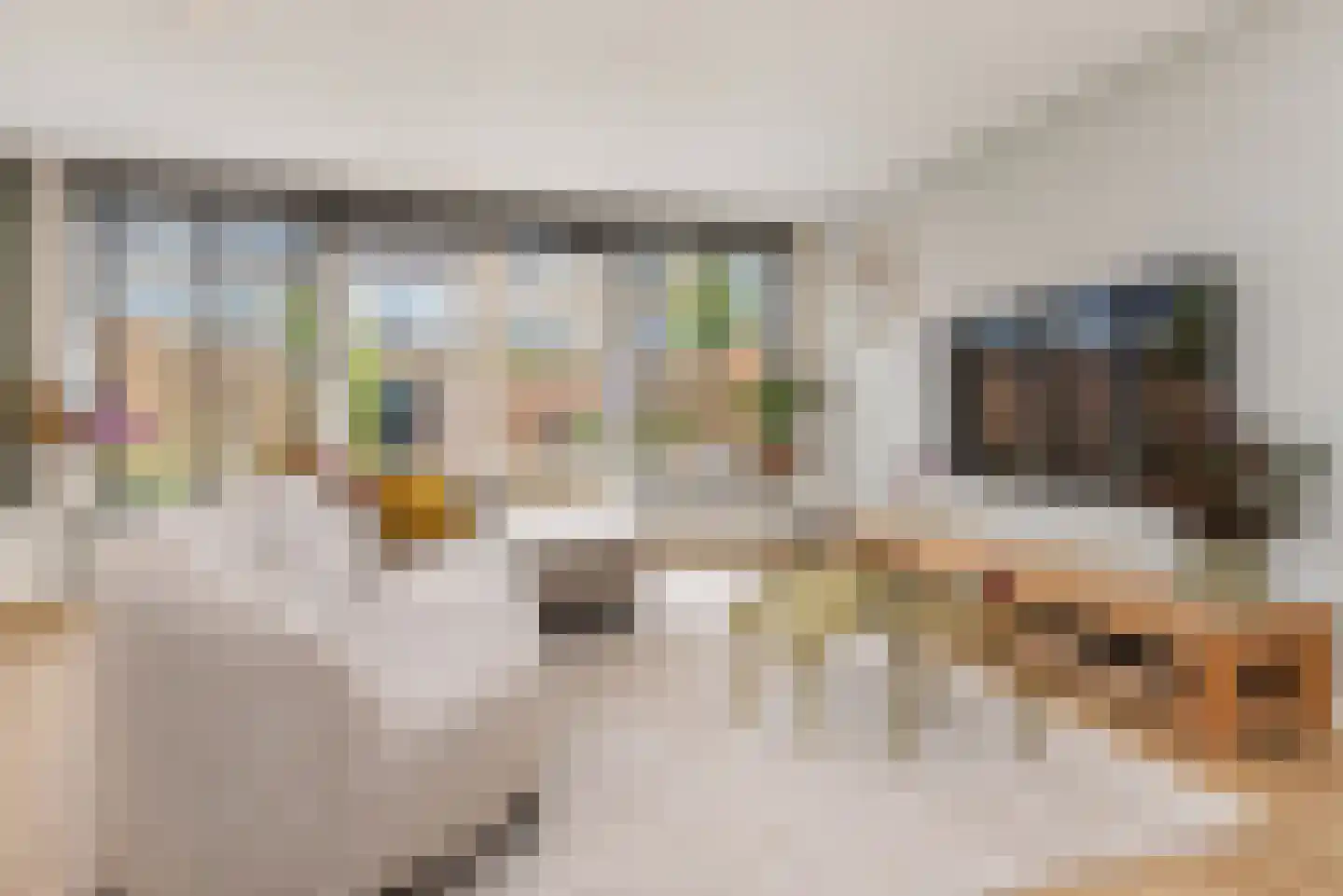 Zilvermeeuw 15 De Lier thumbnail 10