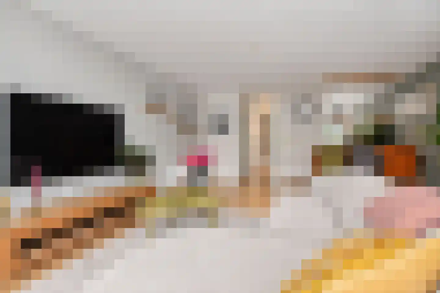 Zilvermeeuw 15 De Lier thumbnail 14