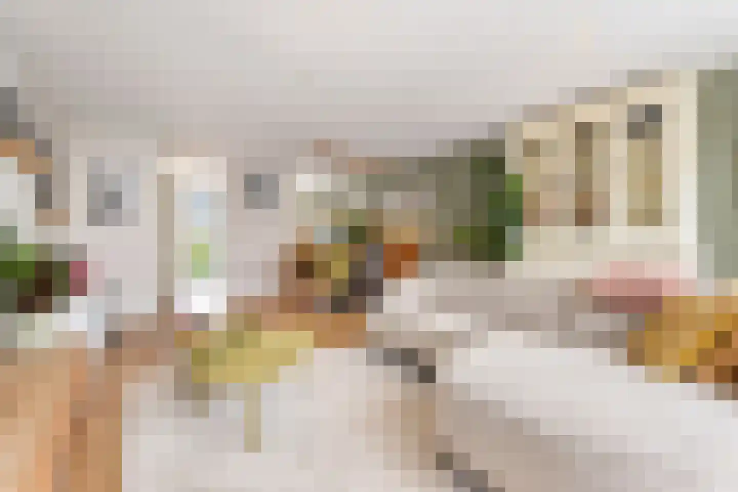 Zilvermeeuw 15 De Lier thumbnail 15