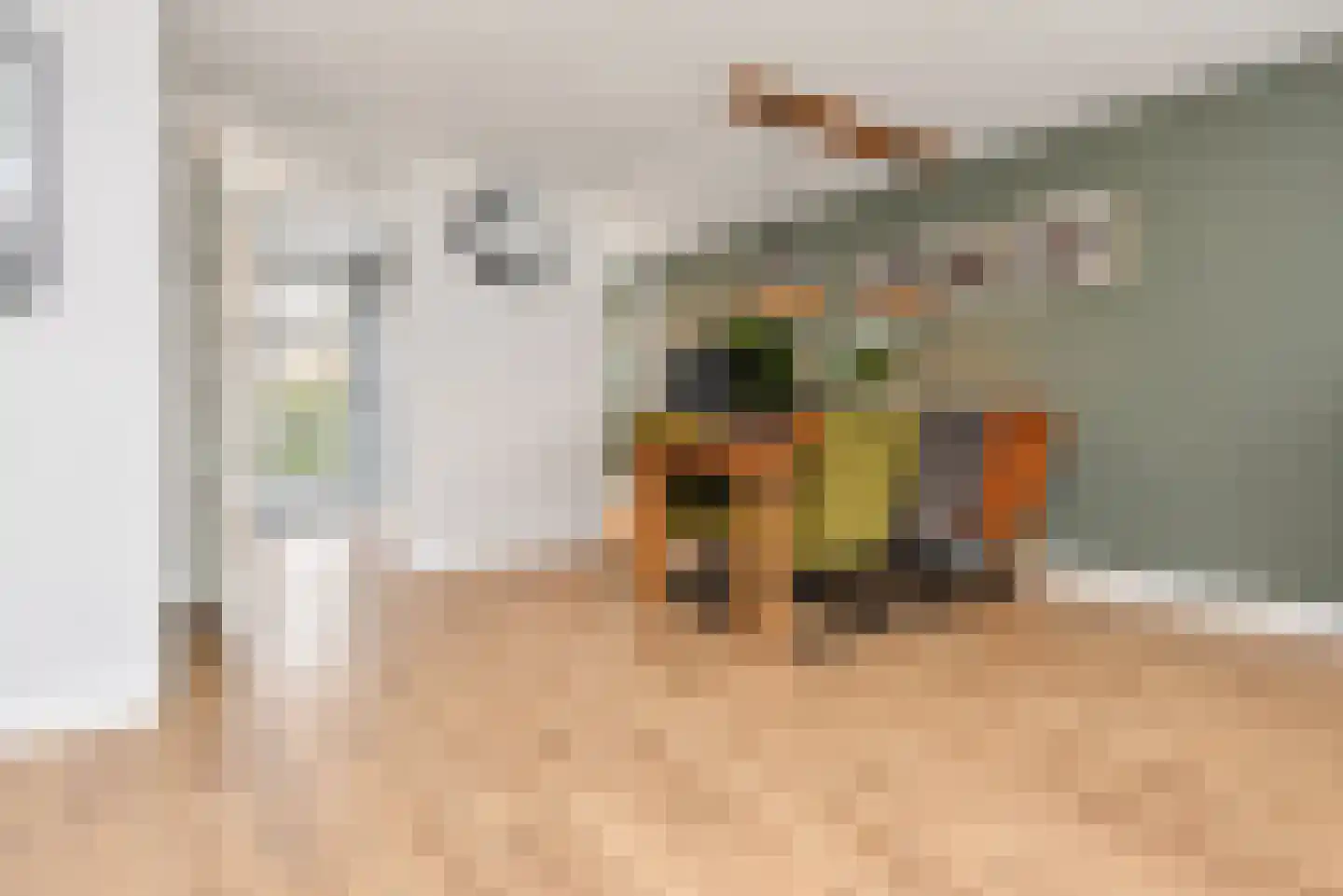 Zilvermeeuw 15 De Lier thumbnail 16