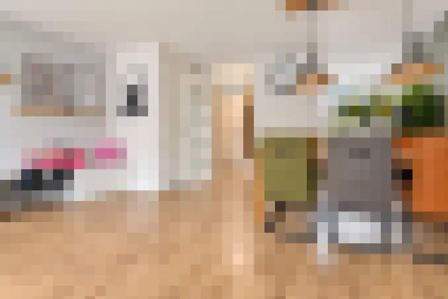 Zilvermeeuw 15 De Lier thumbnail 17