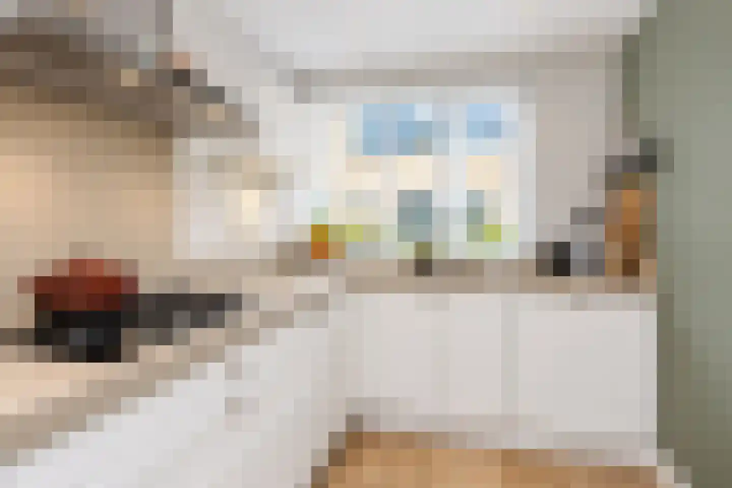 Zilvermeeuw 15 De Lier thumbnail 18