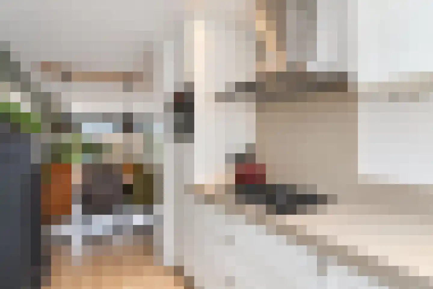 Zilvermeeuw 15 De Lier thumbnail 19