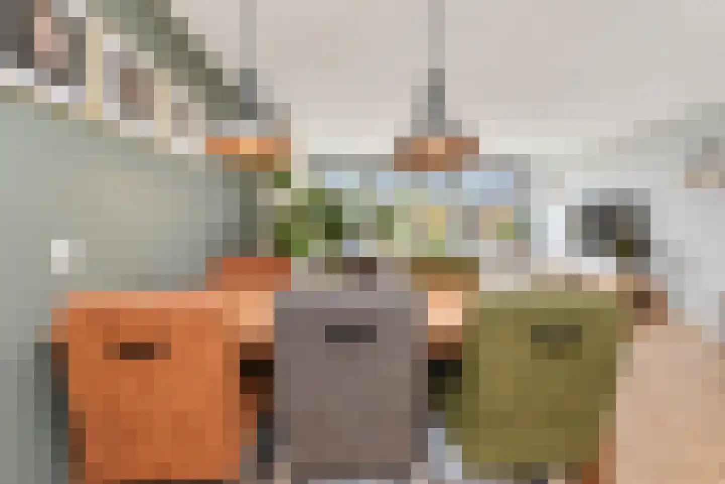 Zilvermeeuw 15 De Lier thumbnail 20