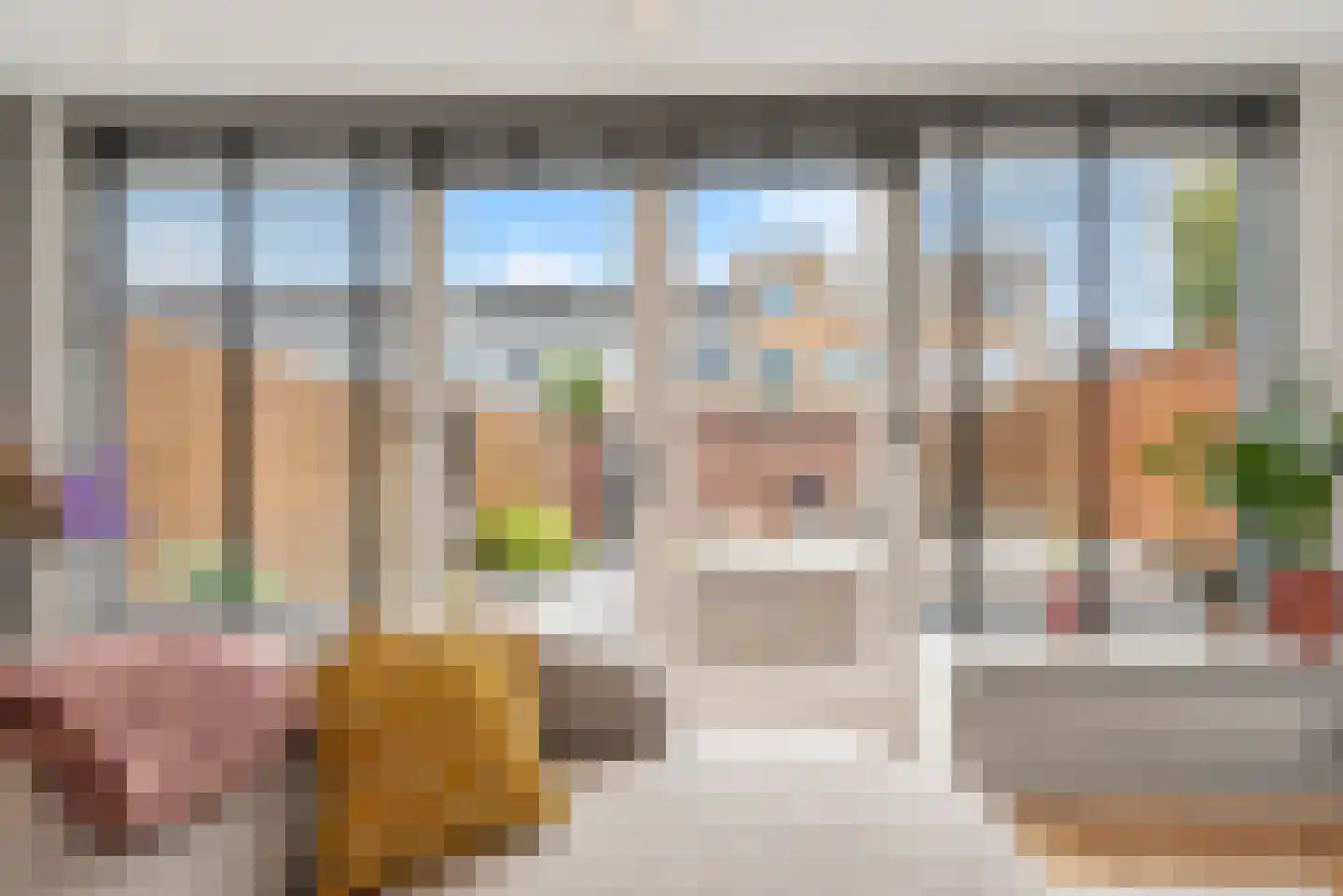 Zilvermeeuw 15 De Lier thumbnail 21