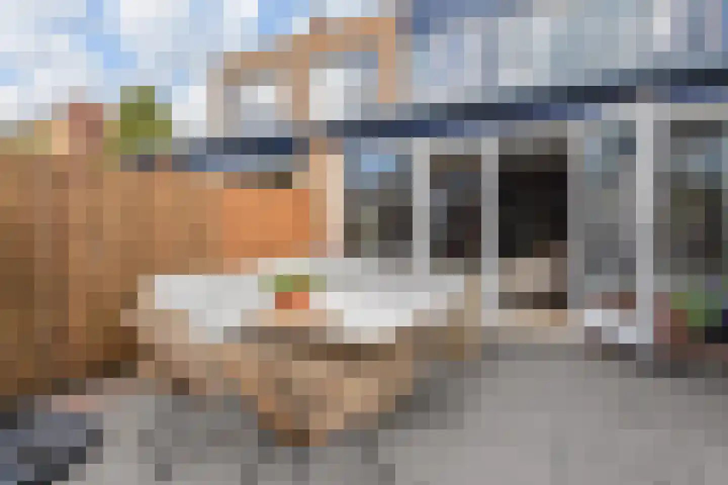 Zilvermeeuw 15 De Lier thumbnail 26