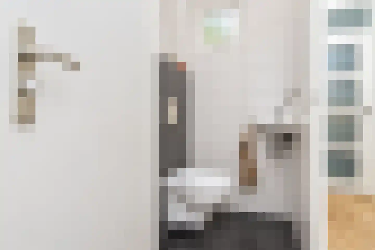 Zilvermeeuw 15 De Lier thumbnail 27