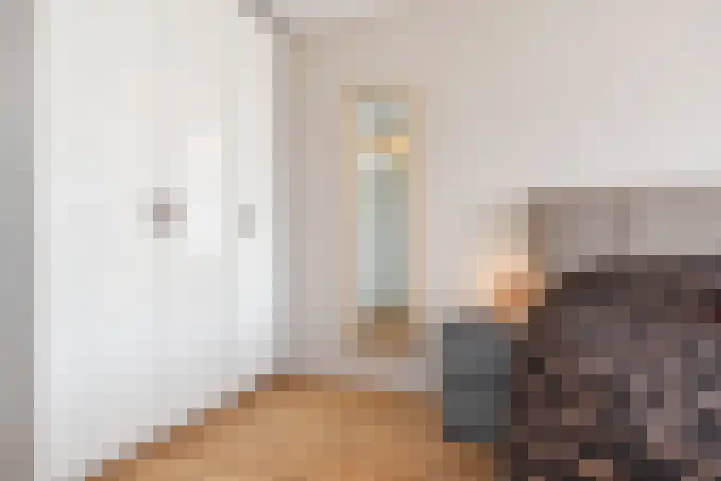 Zilvermeeuw 15 De Lier thumbnail 29