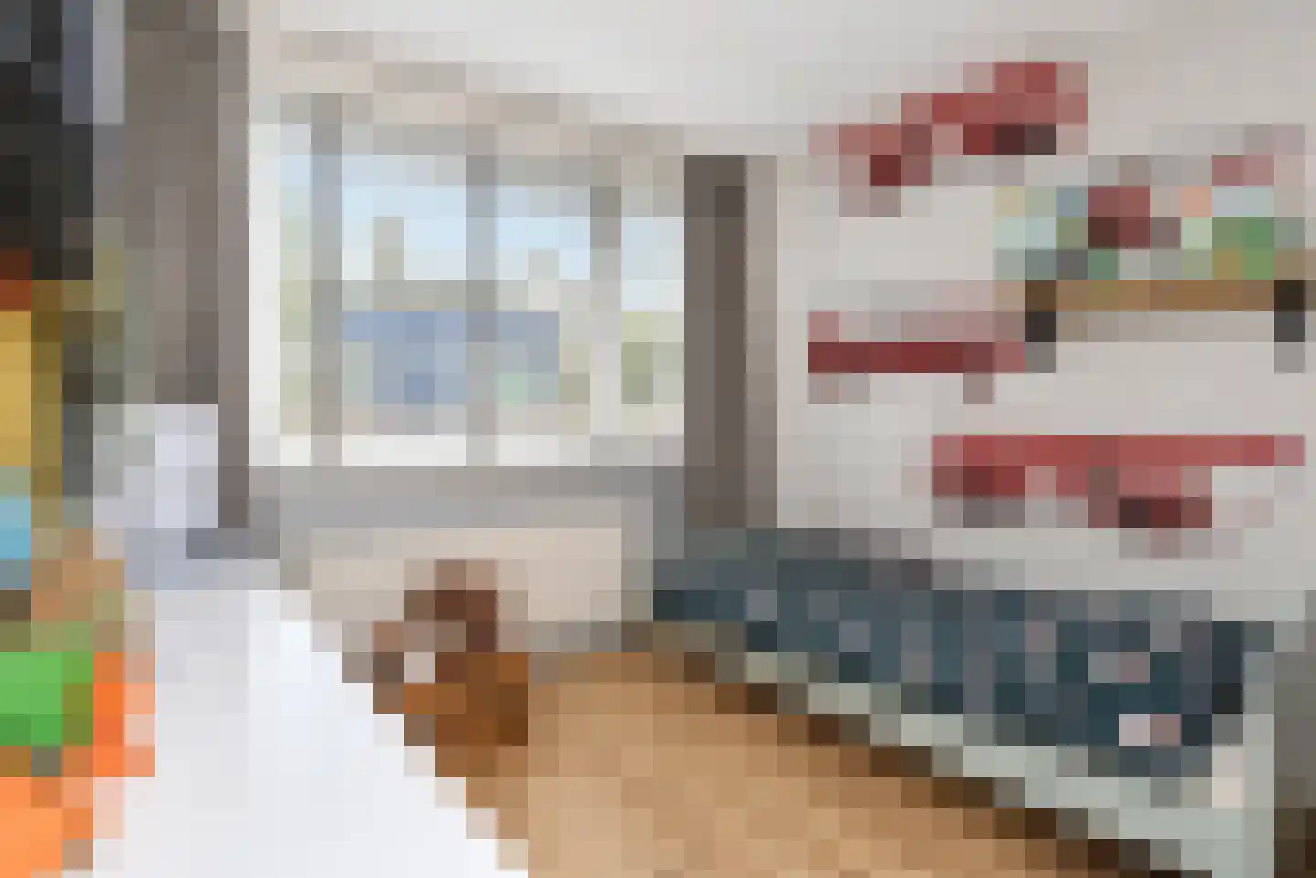 Zilvermeeuw 15 De Lier thumbnail 30
