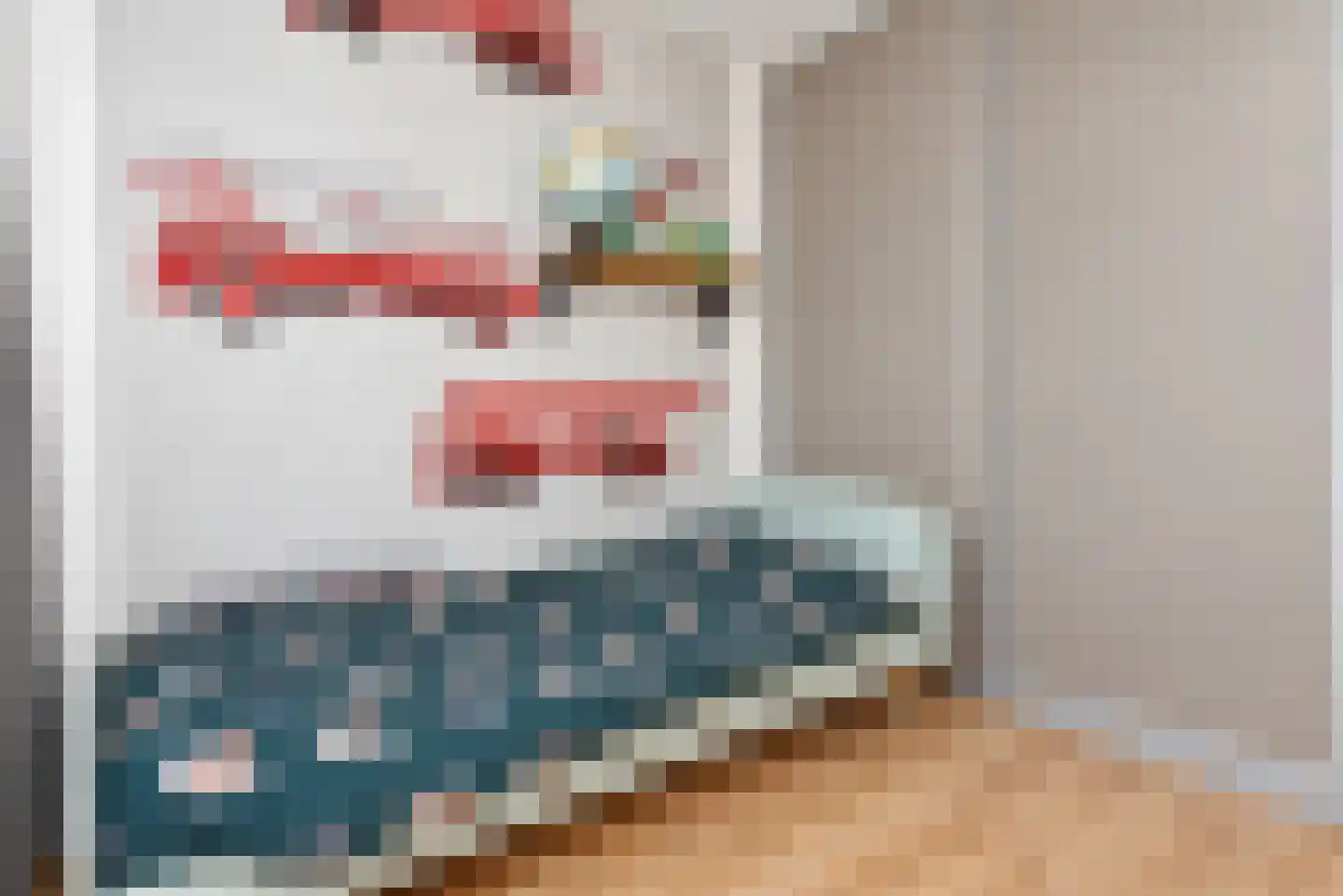 Zilvermeeuw 15 De Lier thumbnail 31