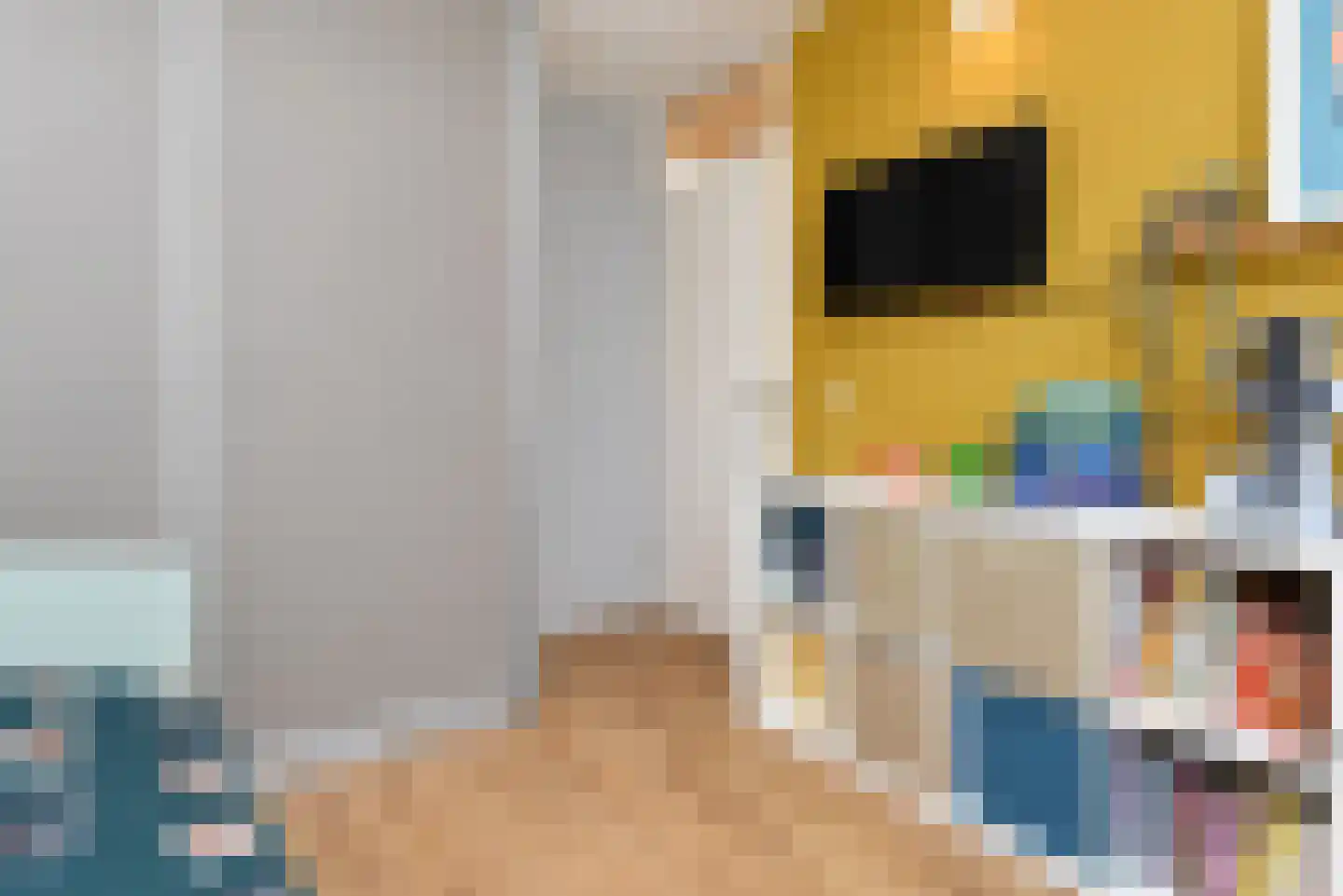 Zilvermeeuw 15 De Lier thumbnail 32