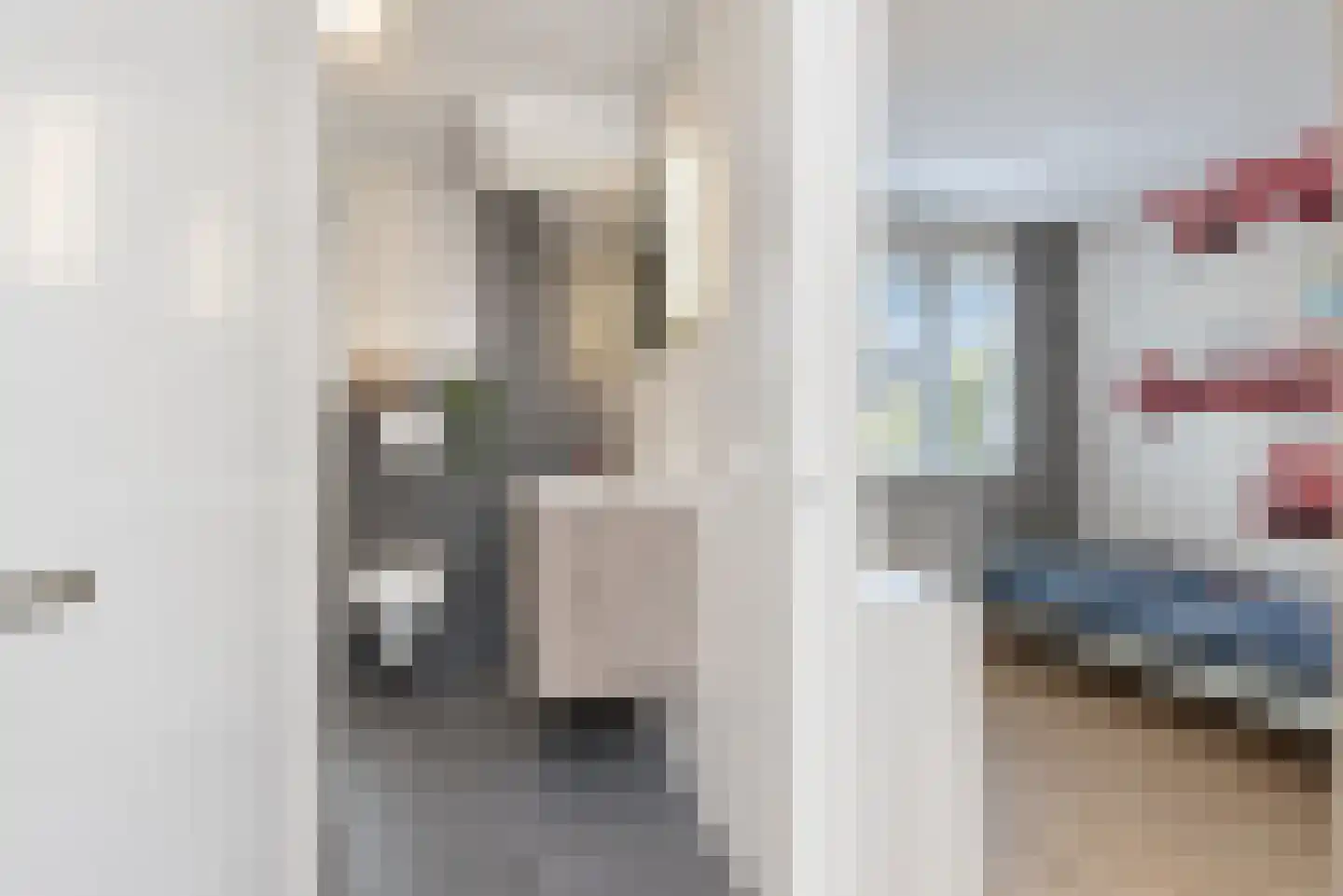 Zilvermeeuw 15 De Lier thumbnail 34