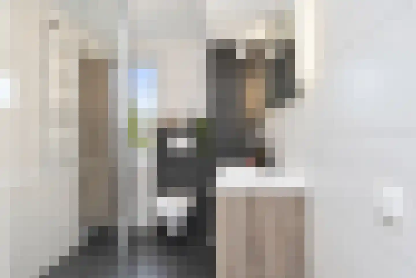 Zilvermeeuw 15 De Lier thumbnail 35