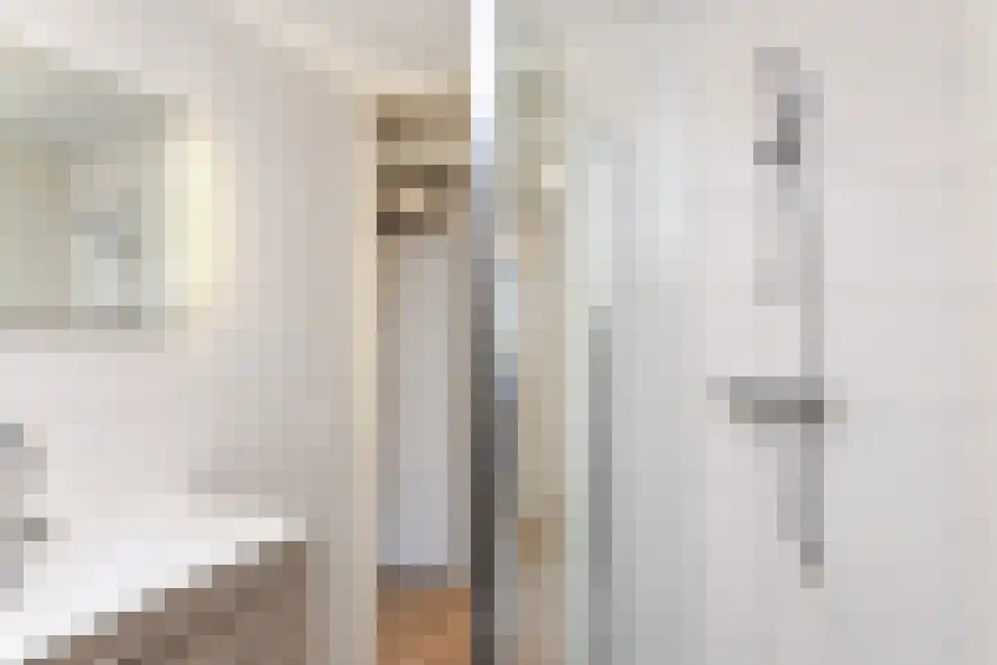 Zilvermeeuw 15 De Lier thumbnail 36
