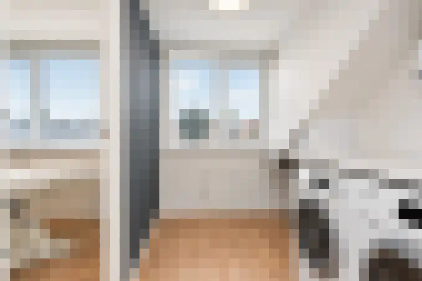 Zilvermeeuw 15 De Lier thumbnail 38