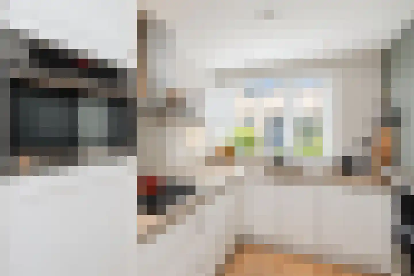 Zilvermeeuw 15 De Lier thumbnail 4