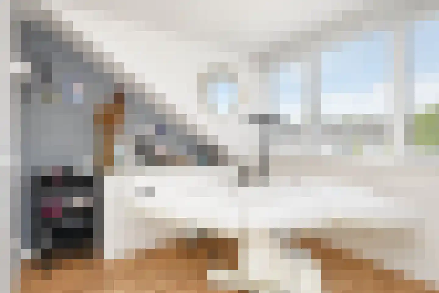 Zilvermeeuw 15 De Lier thumbnail 40