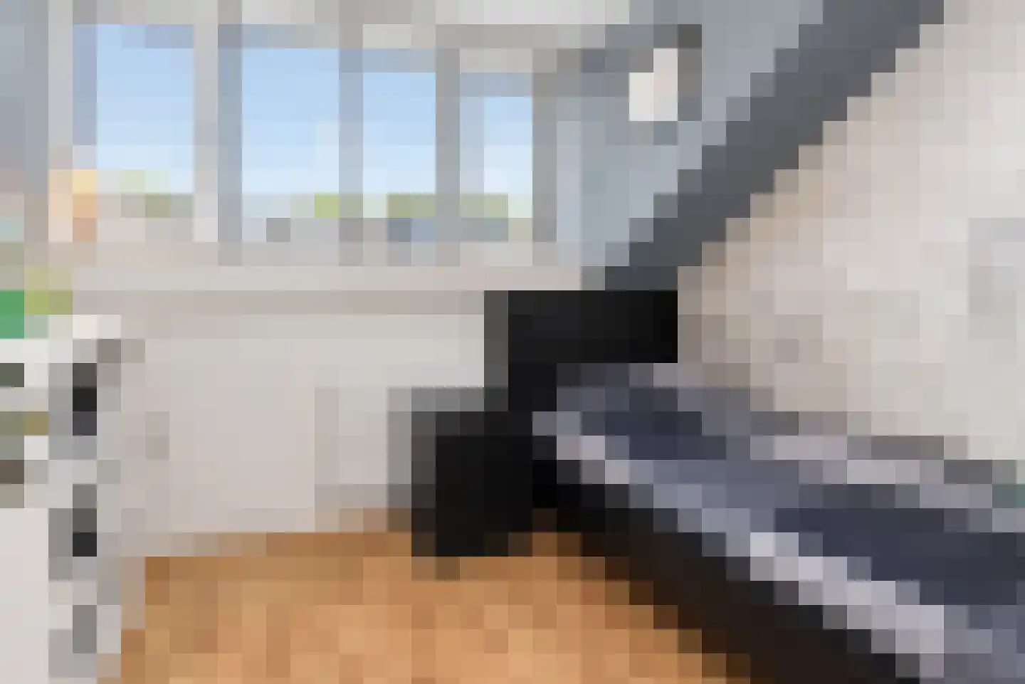 Zilvermeeuw 15 De Lier thumbnail 41