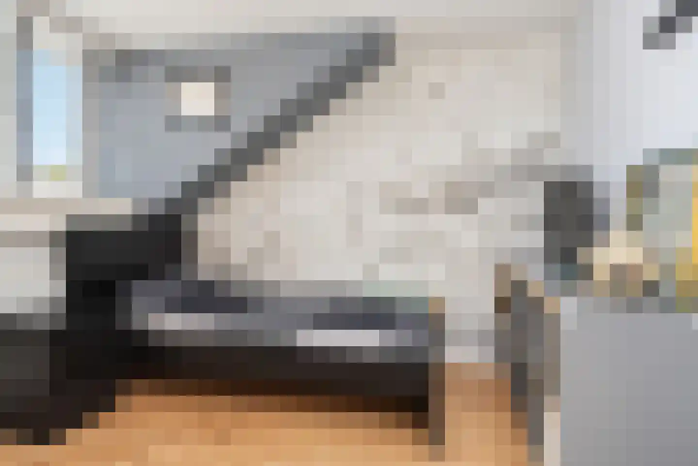 Zilvermeeuw 15 De Lier thumbnail 42