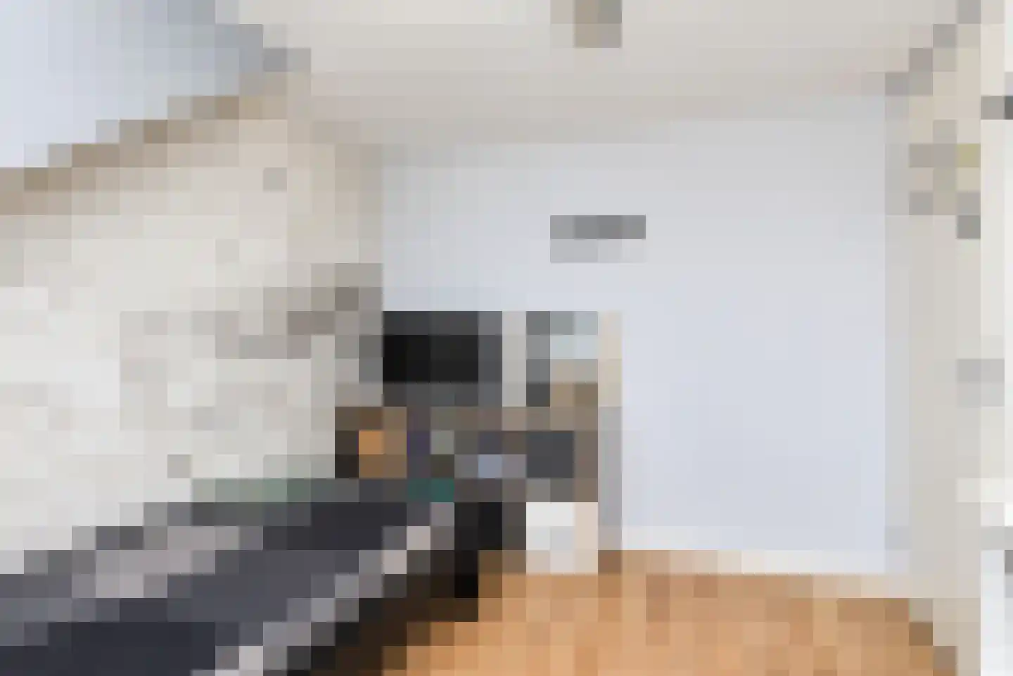 Zilvermeeuw 15 De Lier thumbnail 43