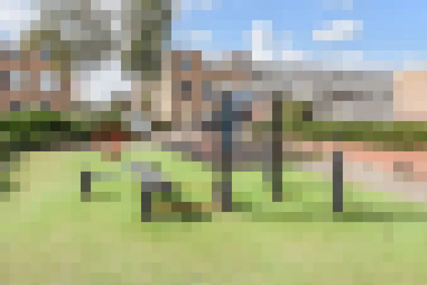 Zilvermeeuw 15 De Lier thumbnail 46